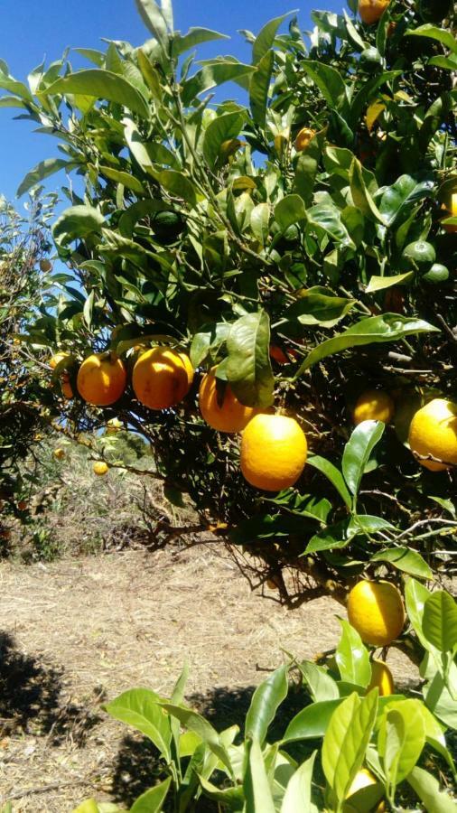 Pensjonat El Limonero Garafía Zewnętrze zdjęcie